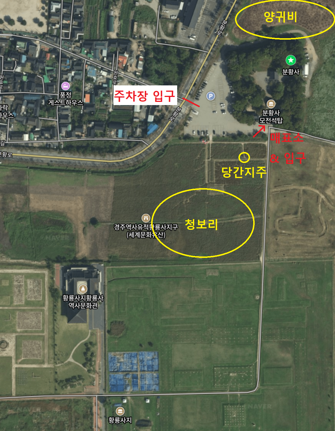 경북 경주 분황사 - 모전석탑 청보리 양귀비 - 청보리와 양귀비 지도
