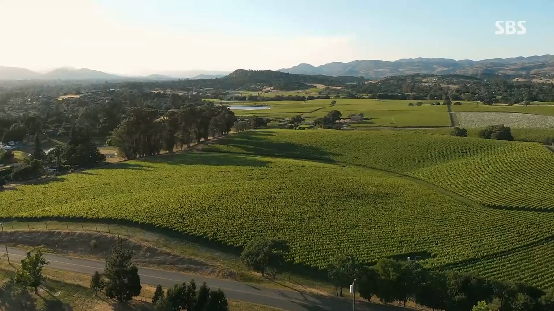 일요 특선 다큐멘터리.E305.230226p.H264-F1RST.mp4_20230301_011003.352.jpg