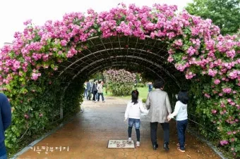 5월 경남 부산 근교 가볼만한곳 베스트10 명소_15