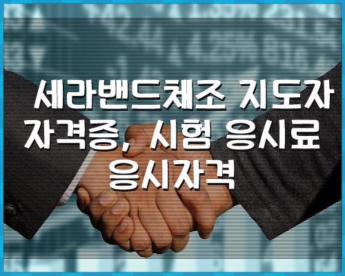 Theraband Gymnastics 강사 자격증, 응시료 자격 1