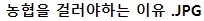  농협을 믿고 걸러야 하는 진짜 이유.jpg
