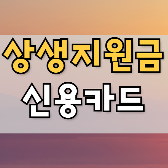  상생지원금 신용카드 신청방법 정리