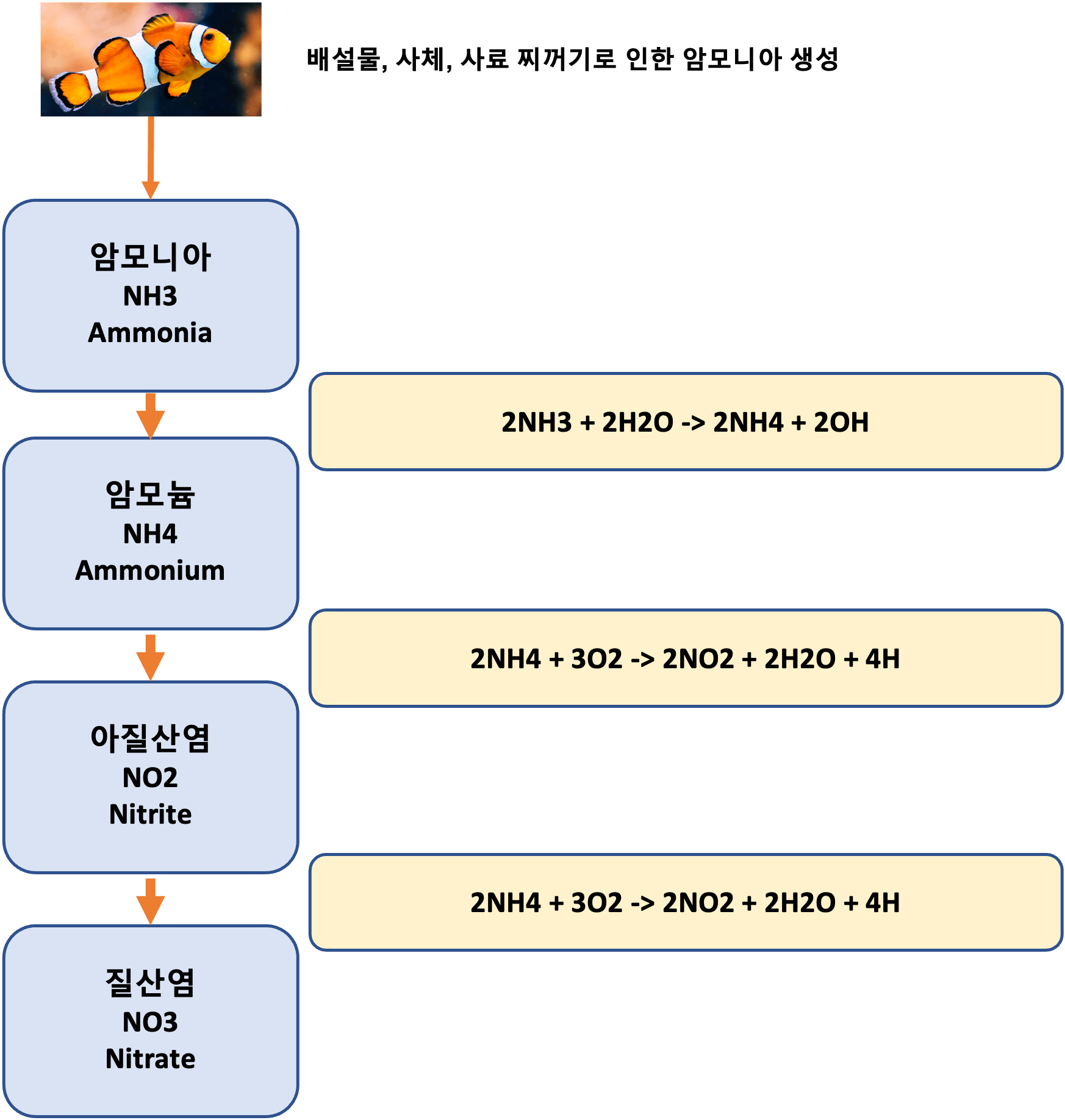 일회용 수족관의 원리