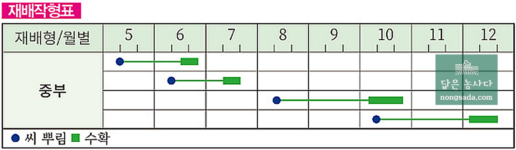 엇갈이배추 재배 시기 및 작형
