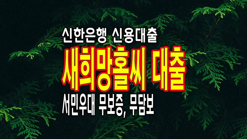 신한은행 쏠편한 새희망홀씨 서민우대 신용대출