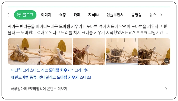 도마뱀 키우기_1_subsection