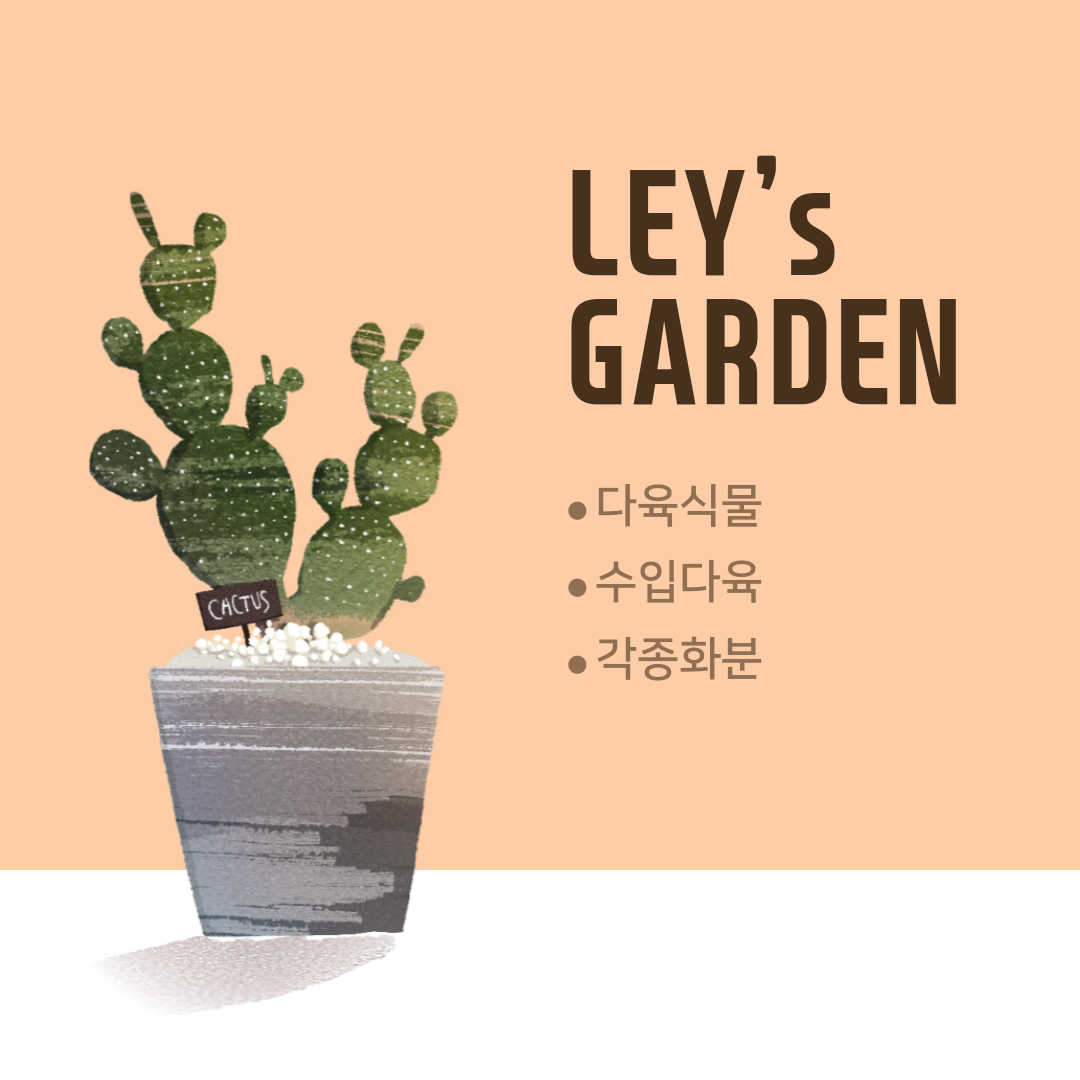  식물 재테크