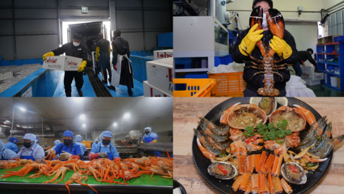  극한직업 킹크랩 랍스터 붉은 대게 택배 주문하는곳