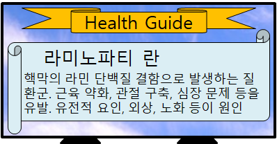 라미노파티