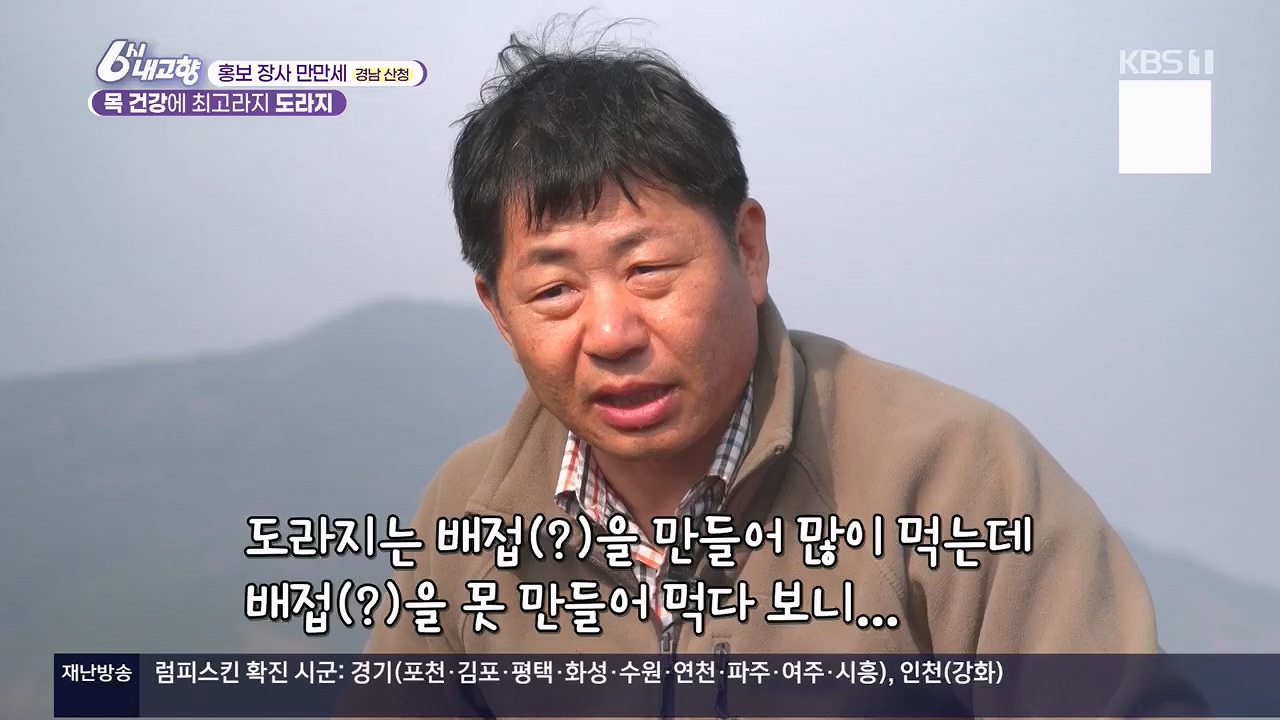 6시 내고향.E7922.231129p.H264-F1RST.mp4_20231129_203826.704.jpg