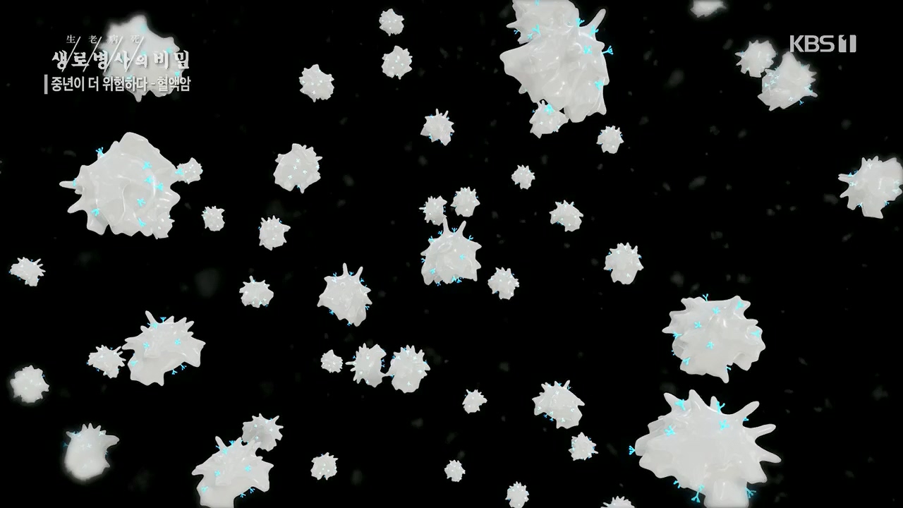 생로병사의 비밀.E868.230511p.H264-F1RST.mp4_20230511_201637.498.jpg