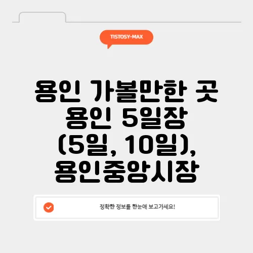 용인 가볼만한 곳 용인 5일장 (5일, 10일), 용인중앙시장