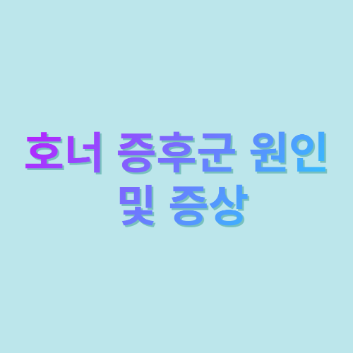  호너 증후군 원인 및 증상