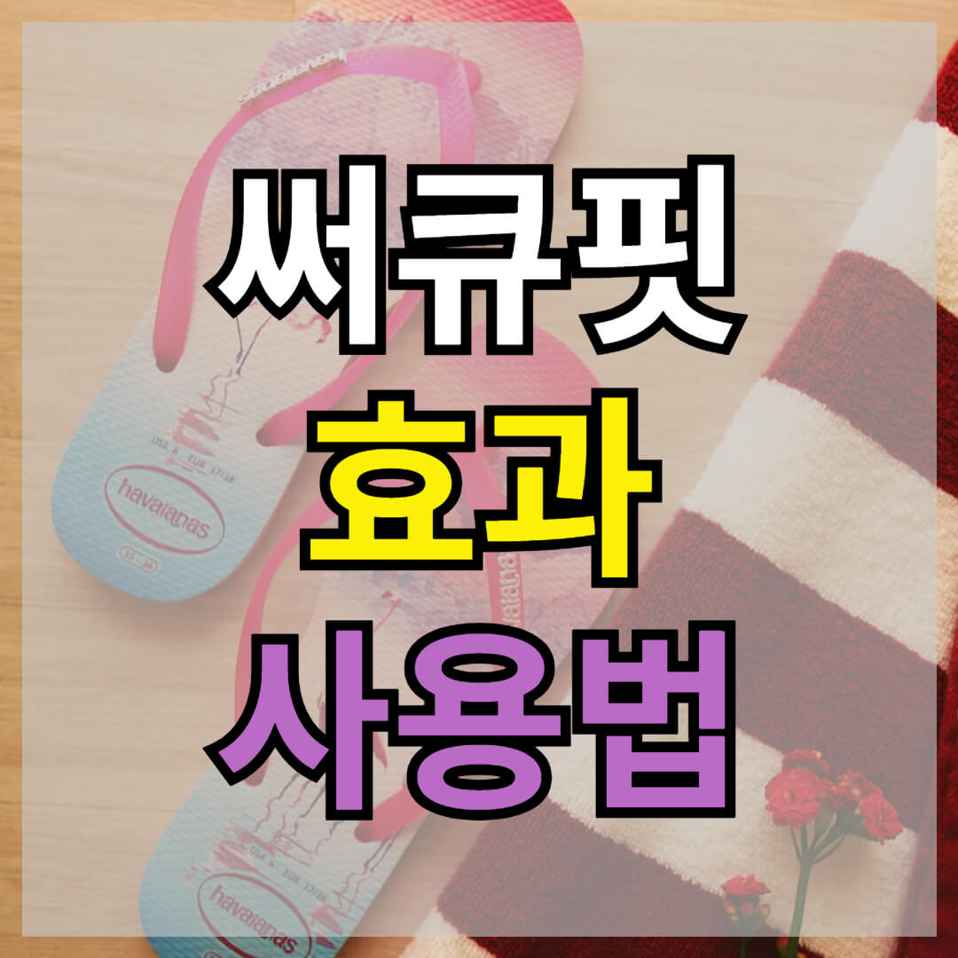 피트컷 써큐핏 썸네일
