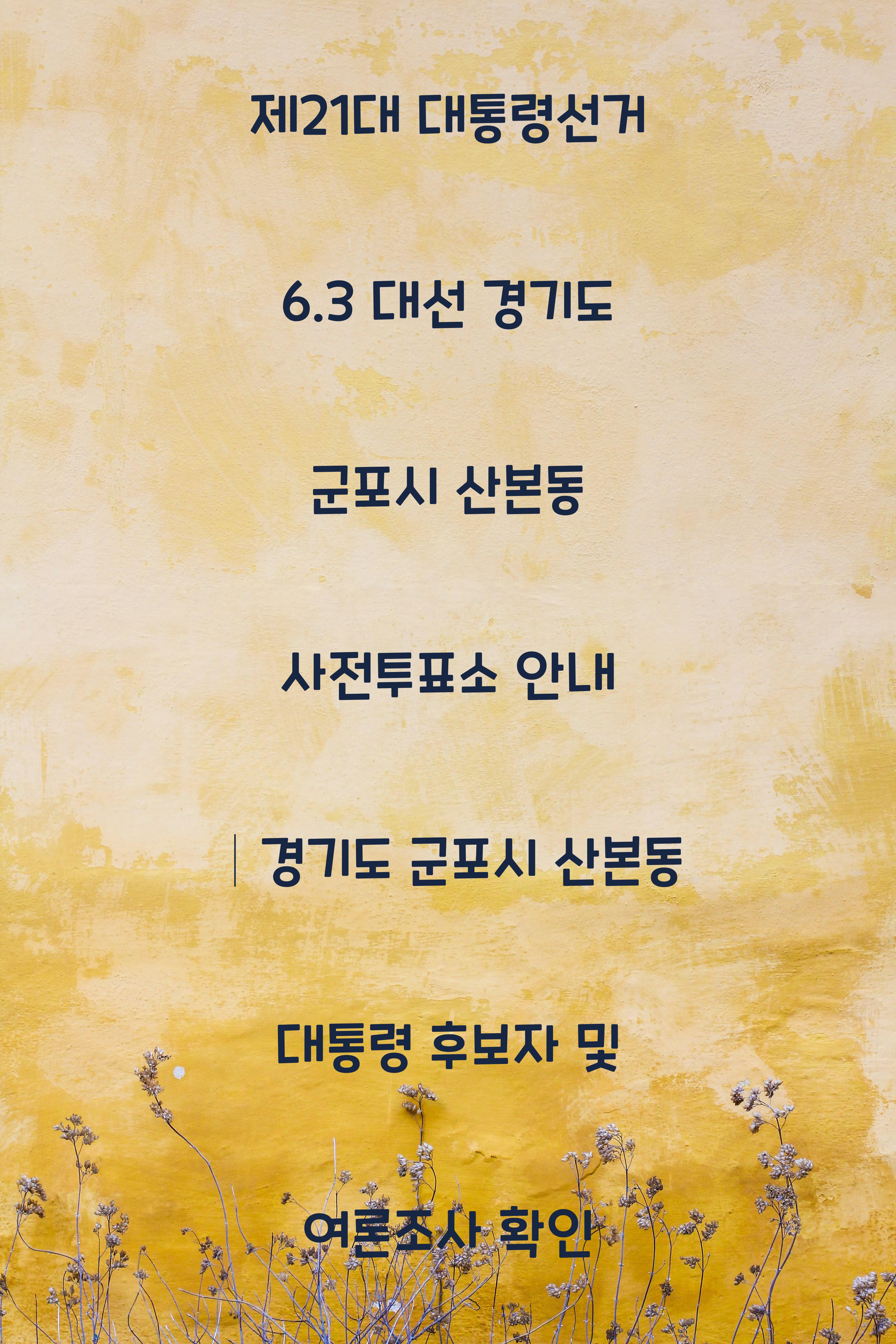 제21대 대통령선거 6.3 대선 경기도 군포시 산본동 사전투표소 안내 │경기도 군포시 산본동 대통령 후보자 및 여론조사 확인