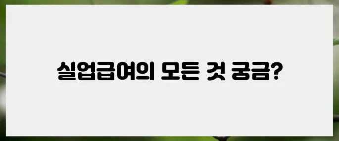 신청방법, 조건, 수급기간: 내 실업급여 완벽 가이드