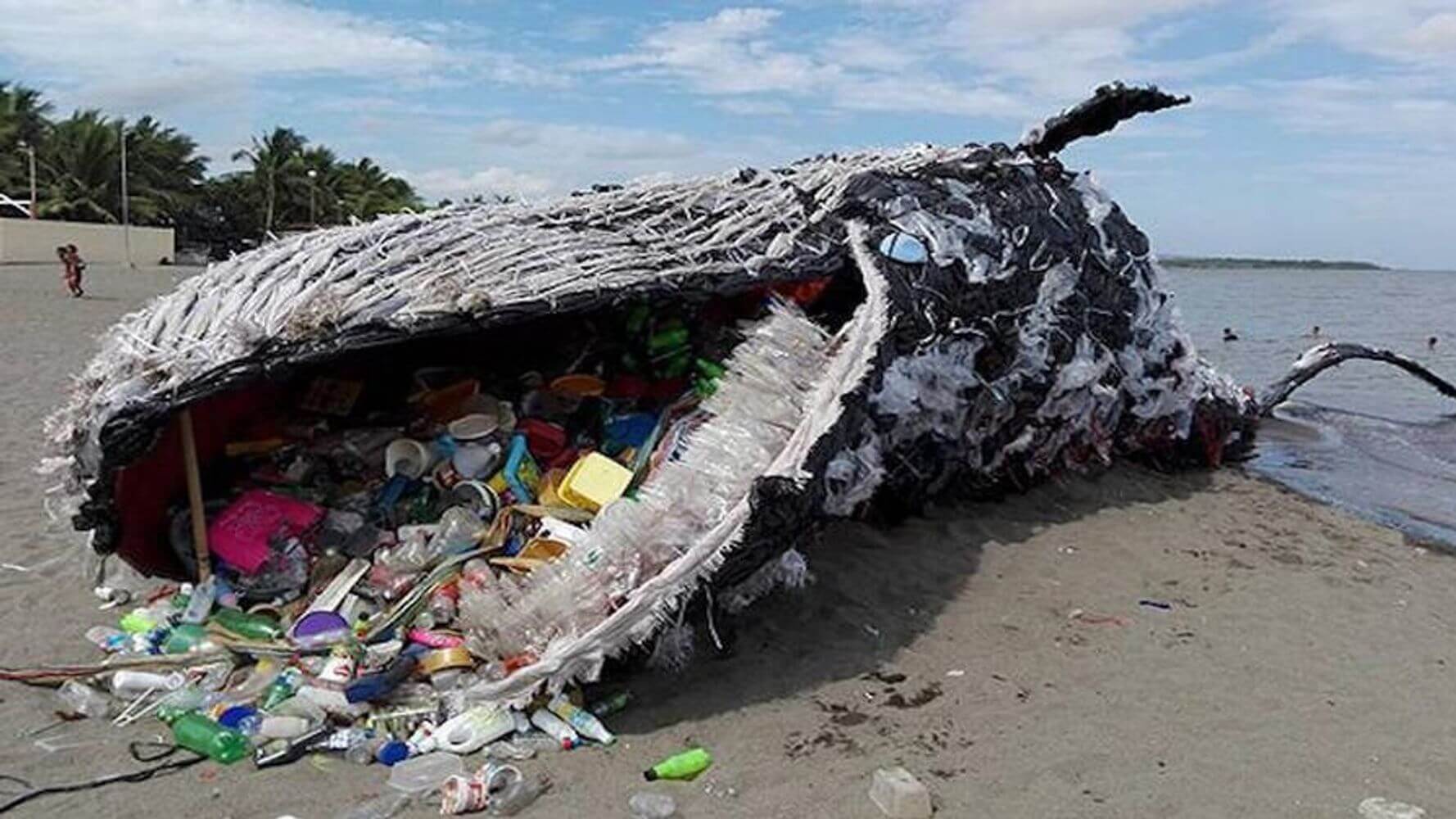 고래 뱃 속 플라스틱 쓰레기