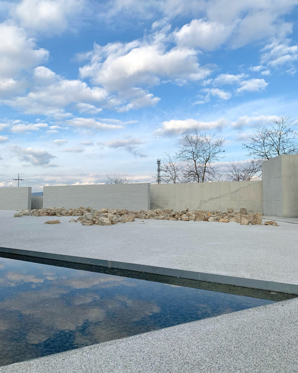 바하리야 여주 카페 추천