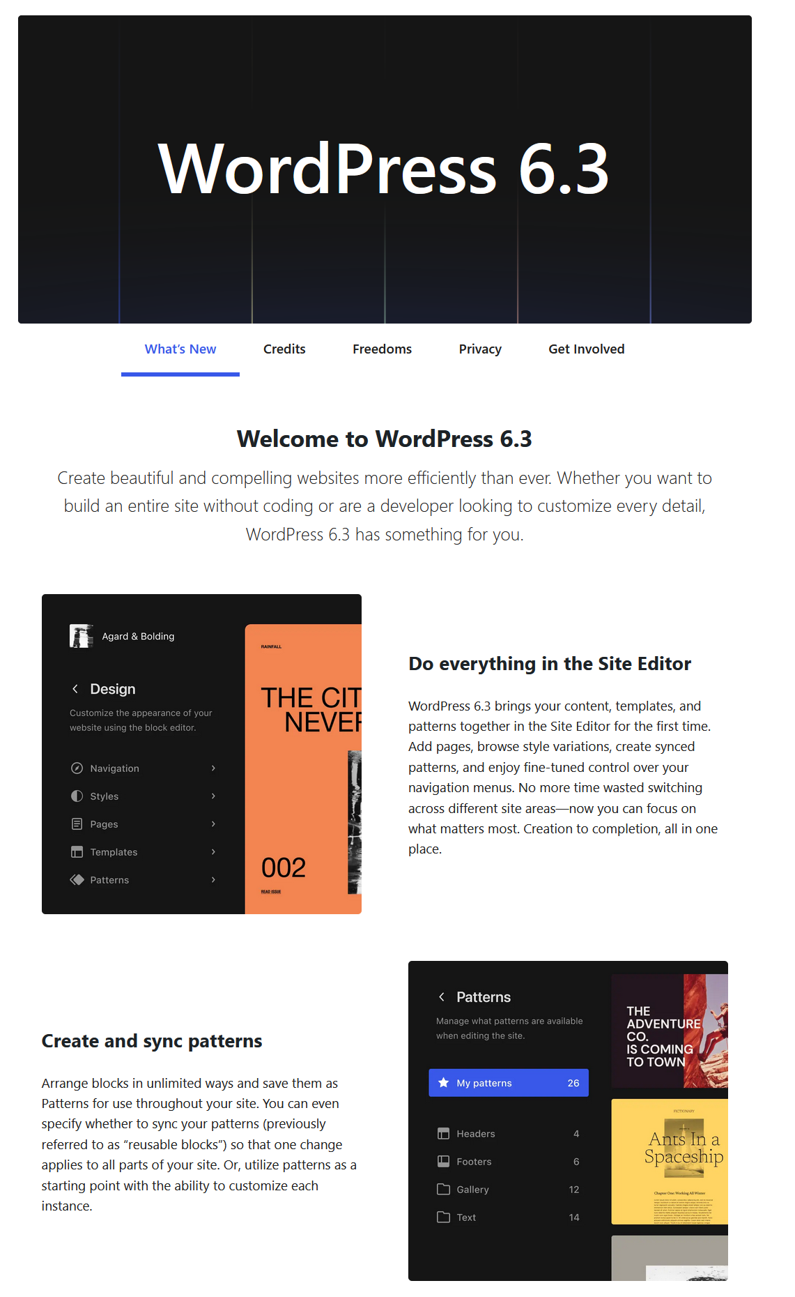 wordpress 6.3