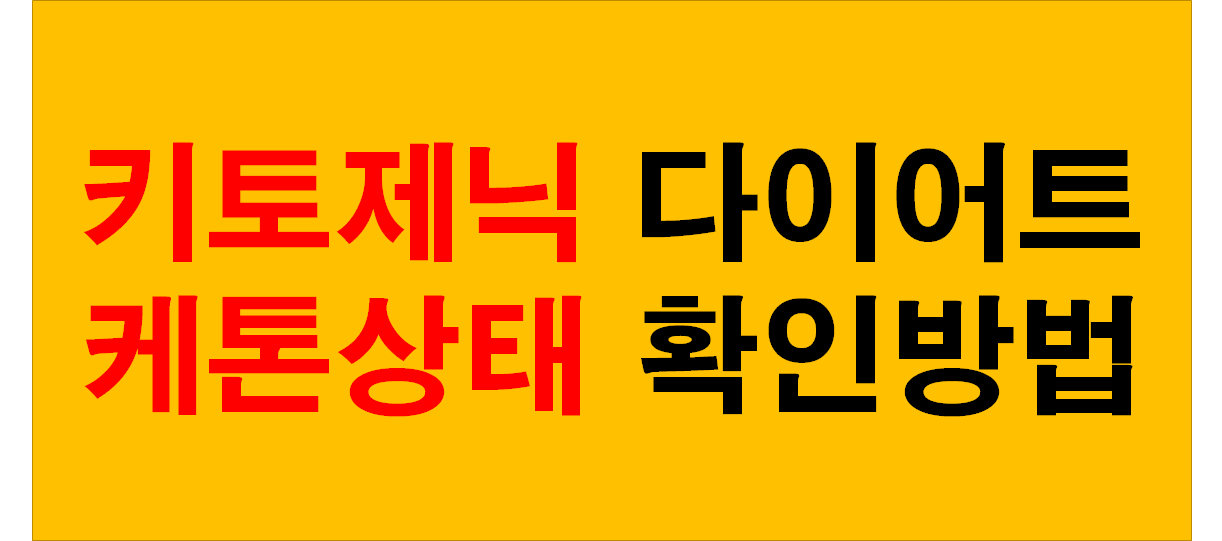  키토제닉 다이어트 언제부터? 케톤 측정기로 상태 확인하는 법