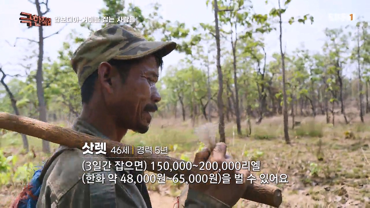 TV - 전 국민의 평생학교 EBS캄보디아 - 독충을 잡는 사람들.mp4_20230501_172034.970.jpg