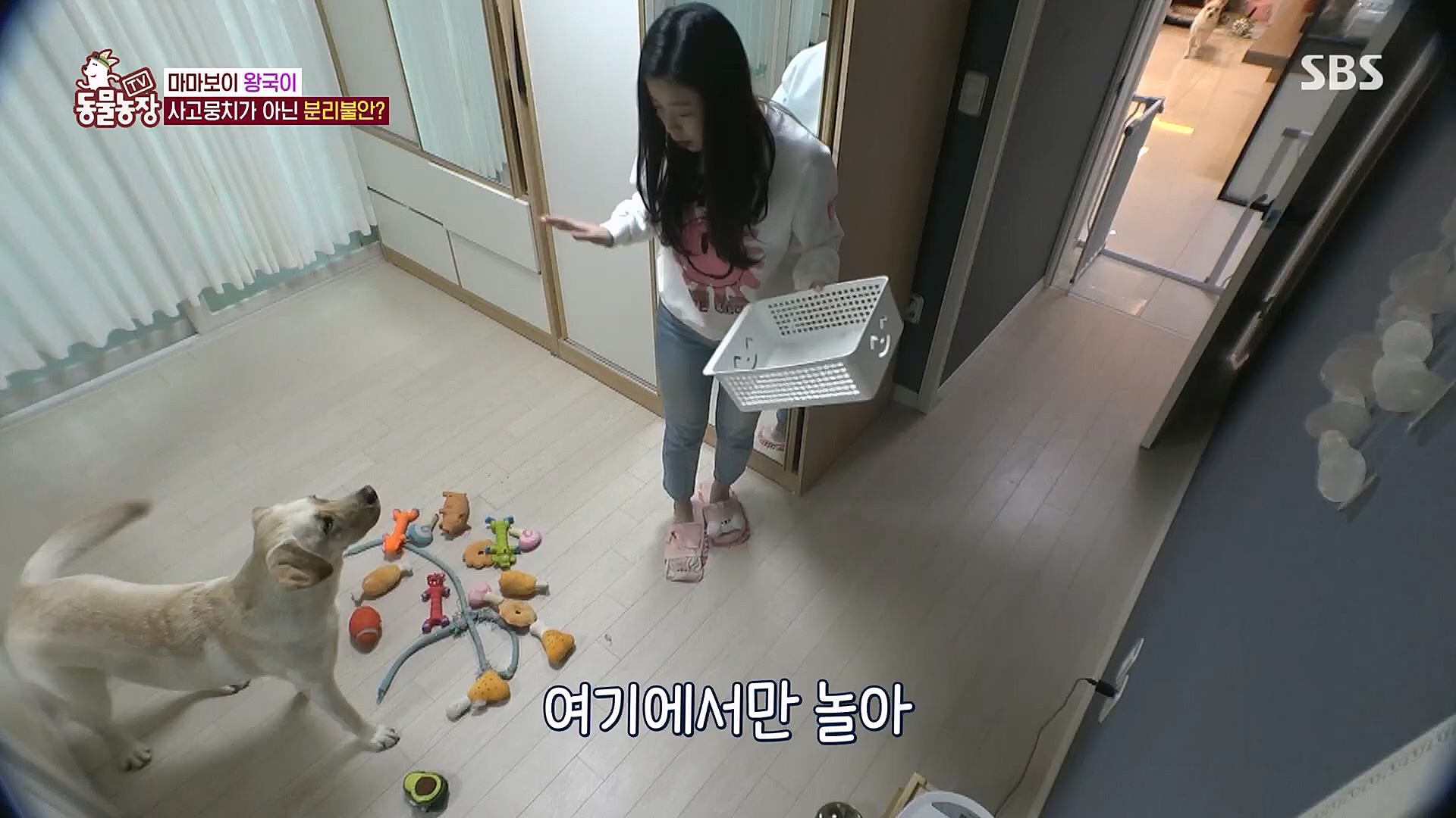 TV 동물농장.E1106.230129p.H264-F1RST.mp4_20230130_192729.527.jpg