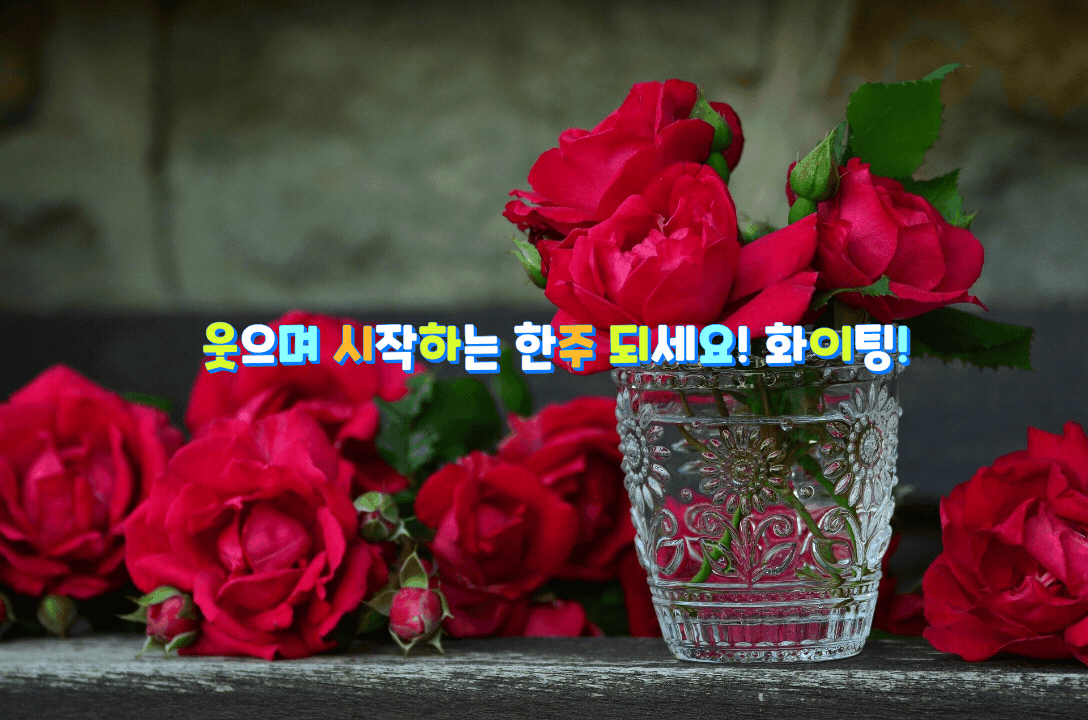  웃으며 시작하는 한주 되세요! 화이팅!