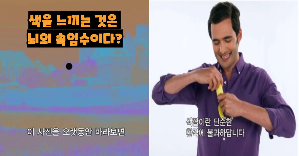  색을 느끼는 것은 뇌의 속임수이다?