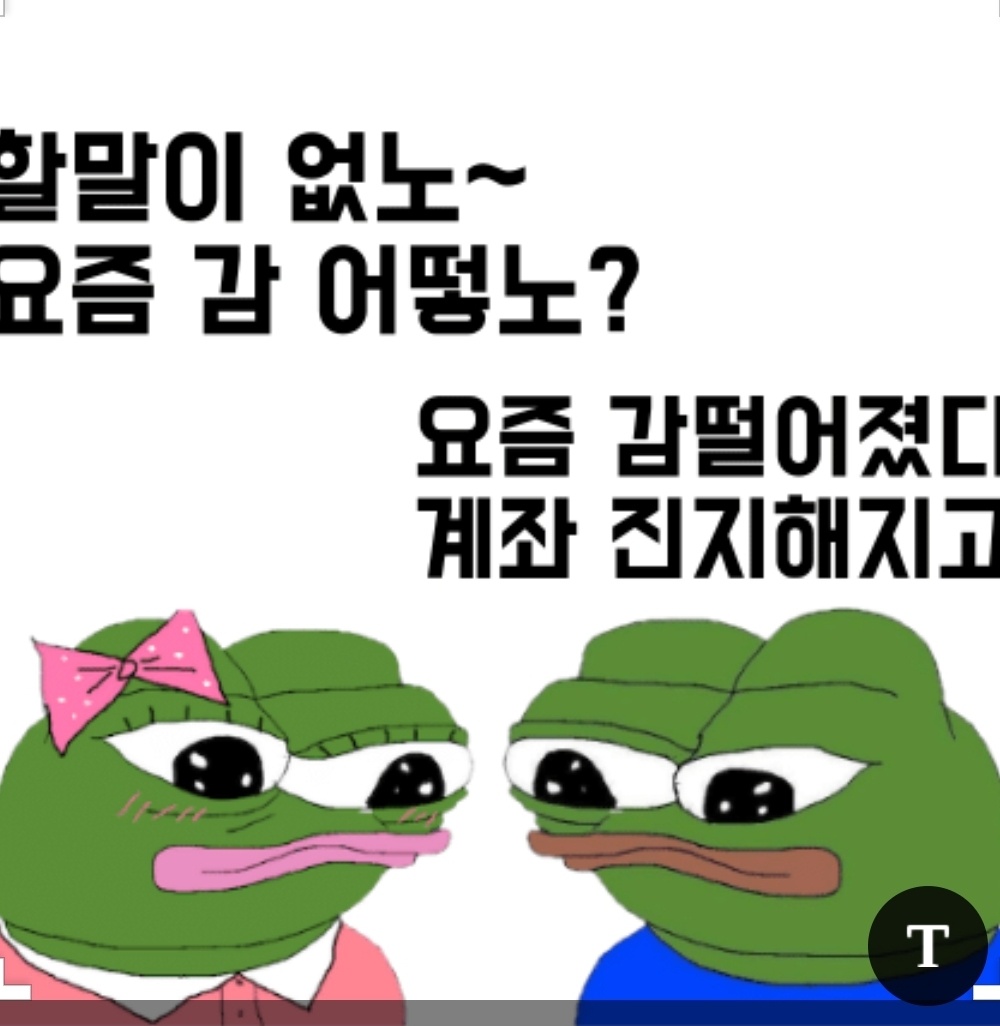  개굴 코인 짤