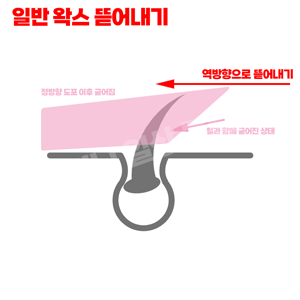 굳어진 후 왁스를 뜯어내는 장면을 표현한 그림