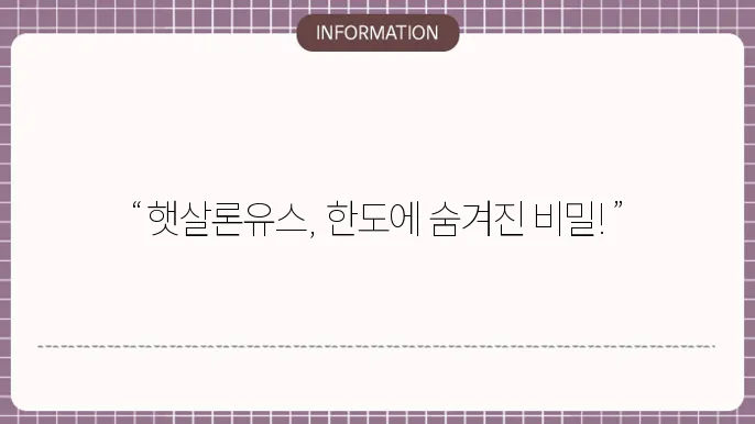 햇살론유스 추가 대출 한도 가능한지?