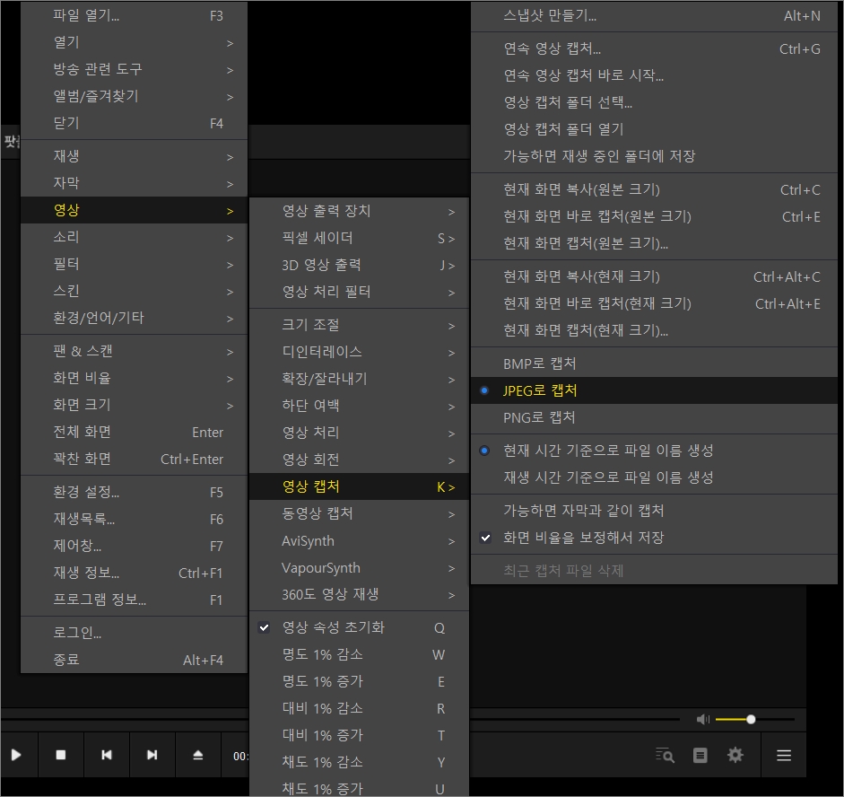 영상 캡처 메뉴