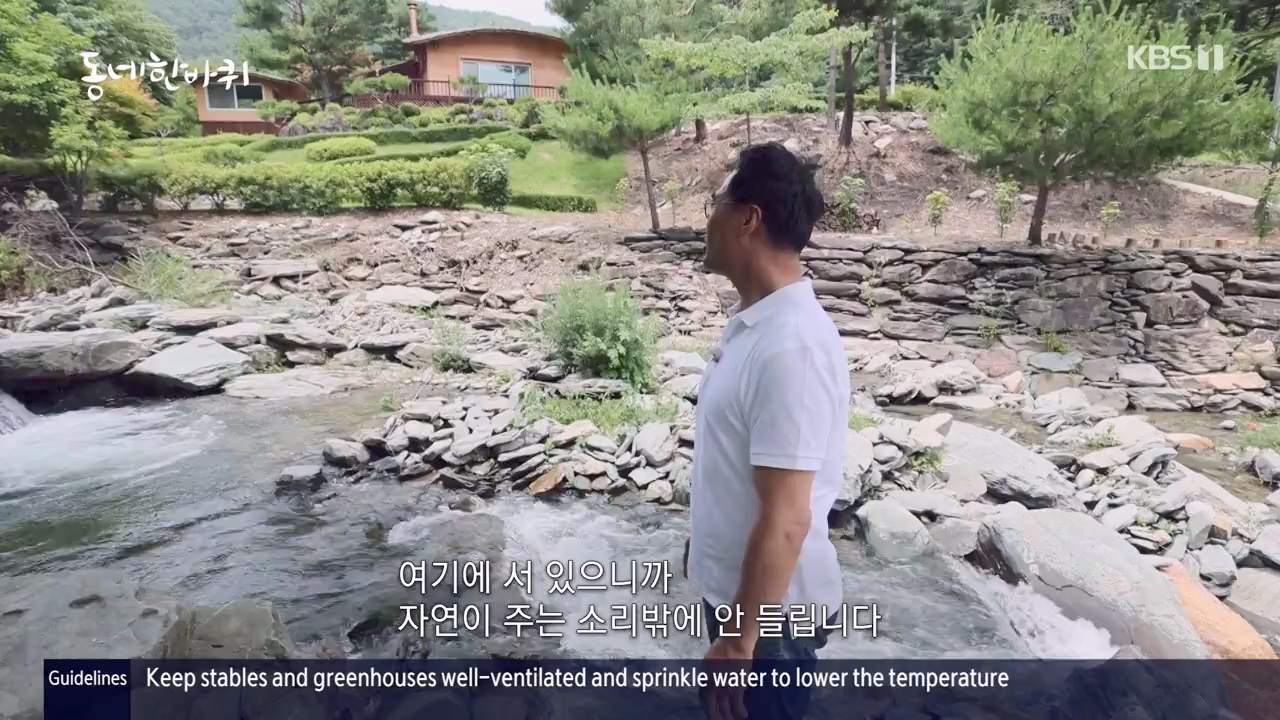 동네 한 바퀴.E234.230806p-NEXT.mp4_20230810_211402.852.jpg