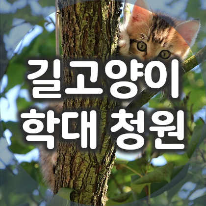  길고양이 학대, 보고만 계실겁니까? 국민청원 서명 동참해요