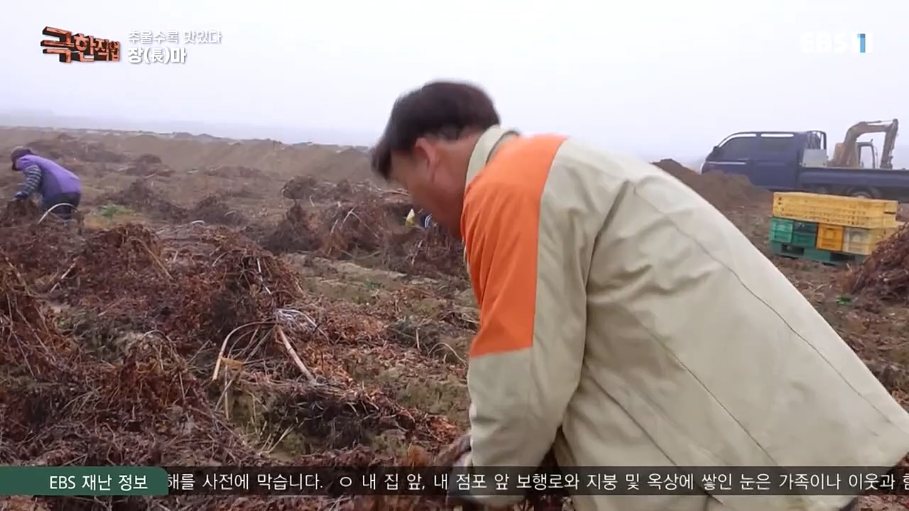 [극한직업] 추울수록 맛있다 장(長)마와 대방어.E734.221218p-NEXT.mp4_20221219_193400.616.jpg