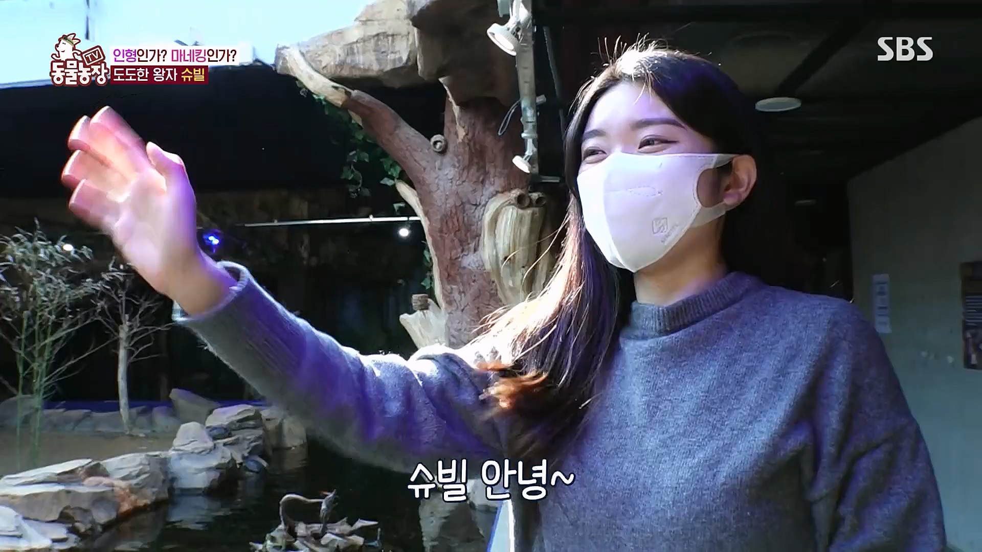 TV 동물농장.E1106.230129p.H264-F1RST.mp4_20230130_192734.539.jpg