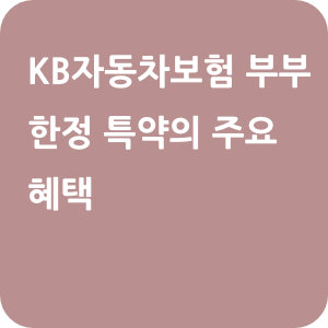 KB자동차보험 부부 한정 특약의 주요 혜택