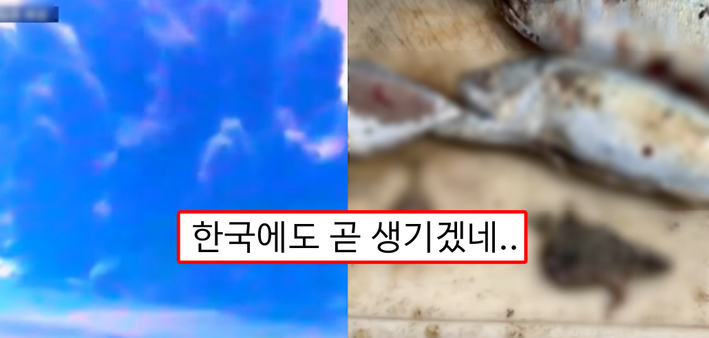  일본 지금 큰일 났다... 심각한 상황 발생해버렸다....(영상)