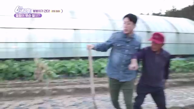 6시 내고향_김장의 필수품 평창 고랭지 배추 - 강원 평창 [슬기로운 두 반장] 슬기로운 어르신들을 찾아서 (충북 제천) [붕붕이가 간다] 철원에 무슨 일이 (강원 철원) [인생은 행복海] 우리는 환상의 사촌 (경남 통영).ts_20231117_205445.655.jpg