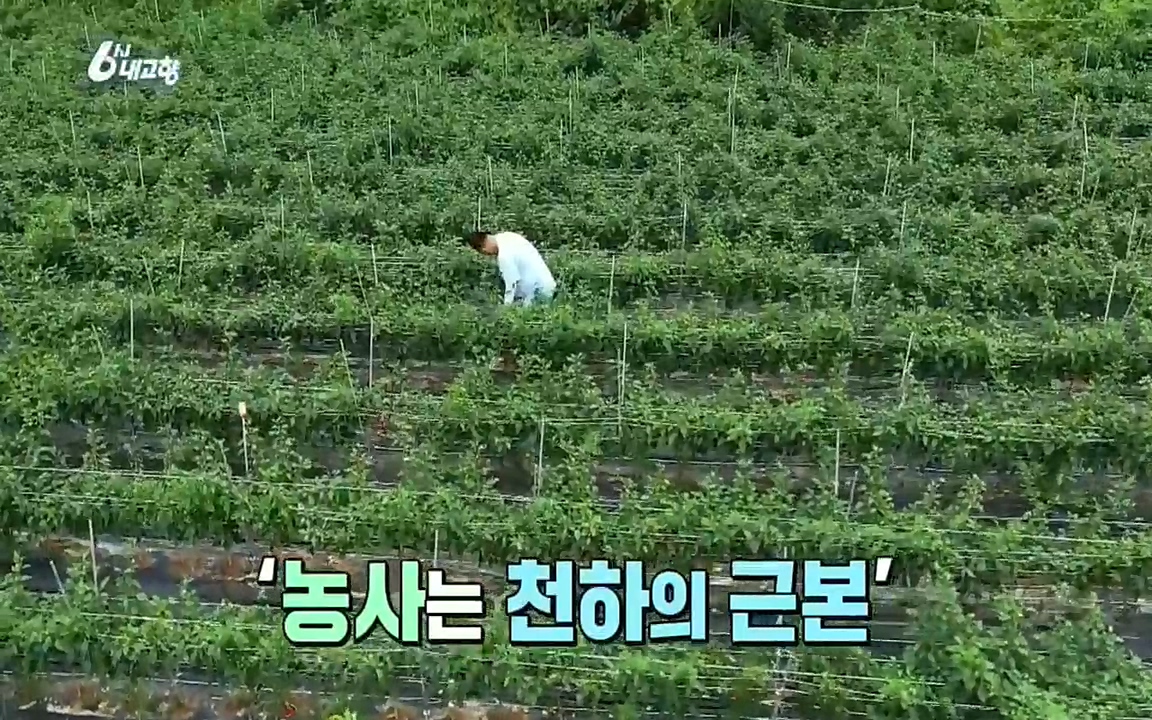 6시 내고향.E7611.220907p.H264-F1RST.mp4_20220908_204239.499.jpg