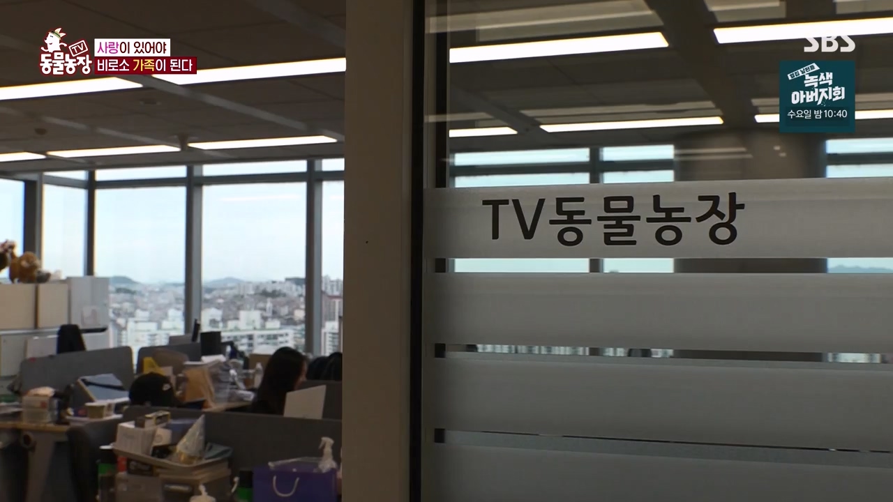 TV 동물농장.E1143.231030p-NEXT.mp4_20231029_164105.332.jpg