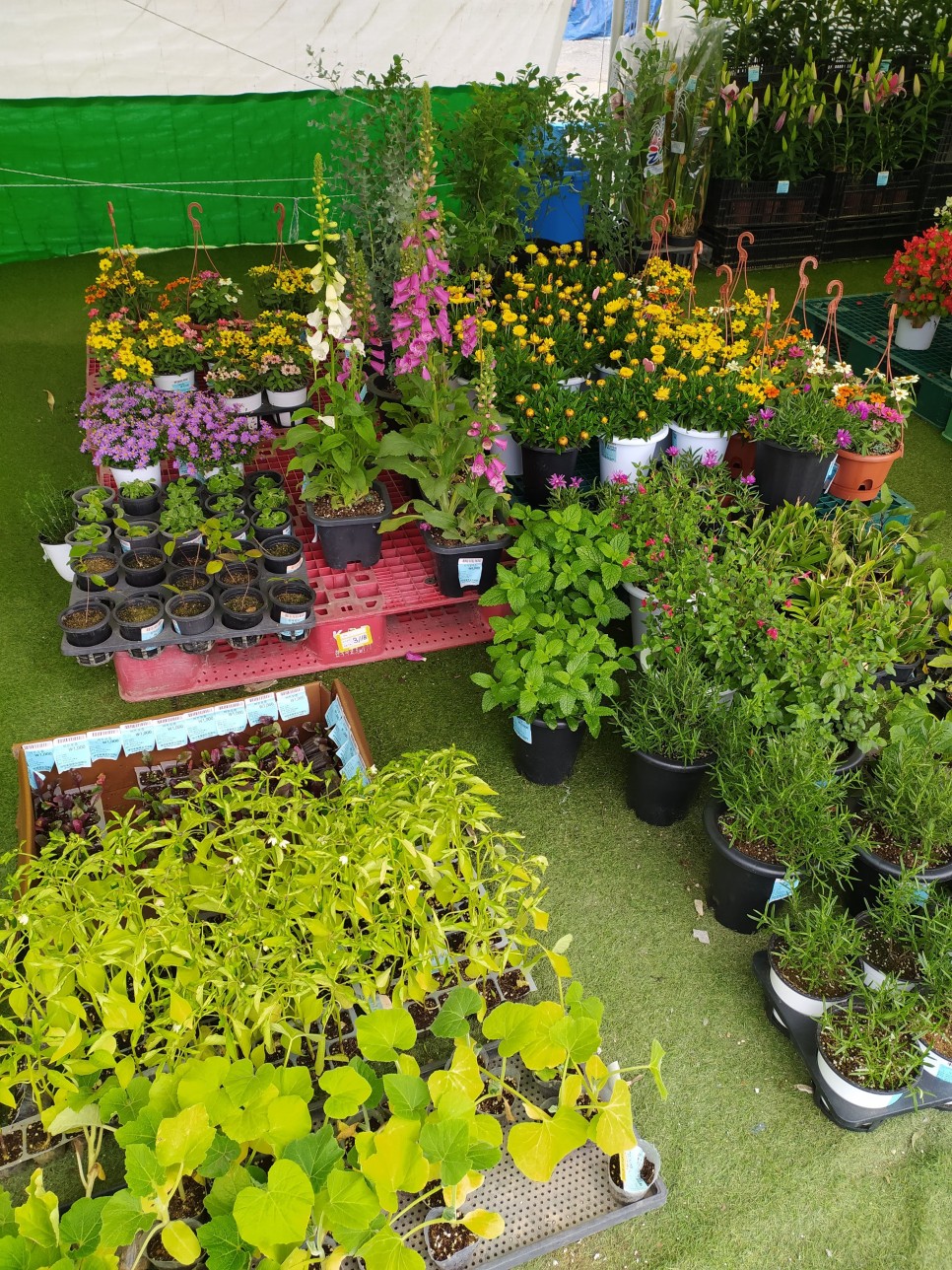 몽산포 물때표 태안 : 몽산포 물때표확인 1