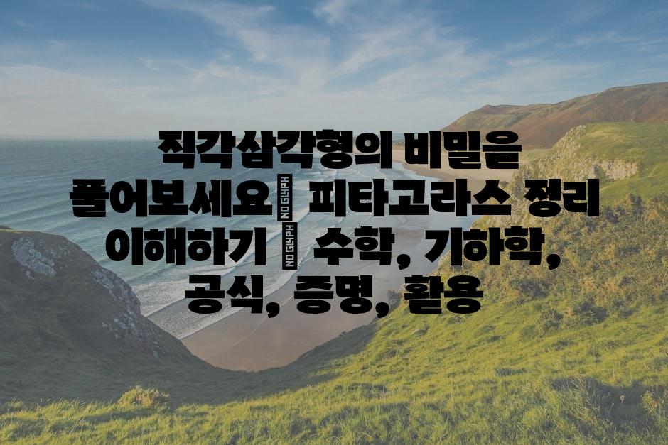 샘플 (86)