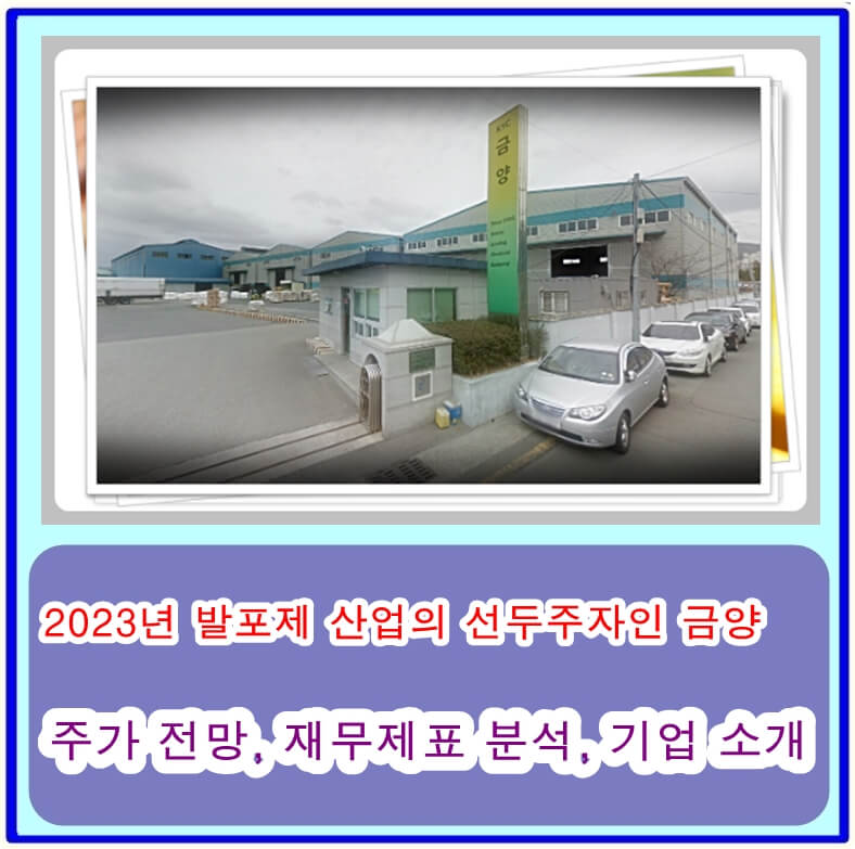  2023년 발포제 산업의 선두주자인 금양의 주가 전망, 재무제표 분석, 기업 소개