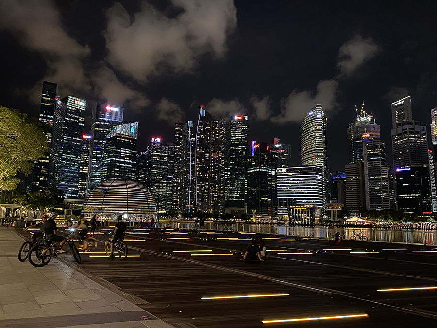 싱가포르 랜드마크가 모여있는 금융가
