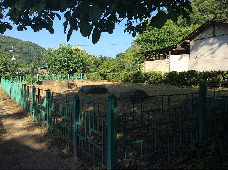  쌍계사지와 김천 유성리 소나무