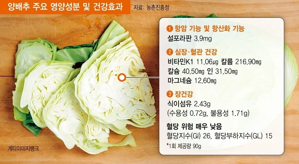양배추 주요 영양성분 및 건강효과