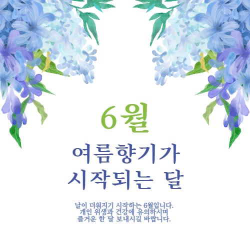  6월 인사말 문구 이미지, 문자 모음