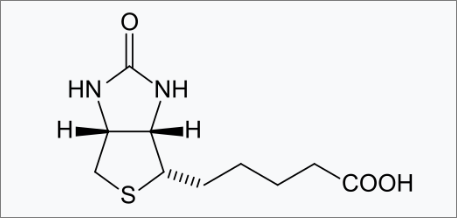 비오틴 분자구조