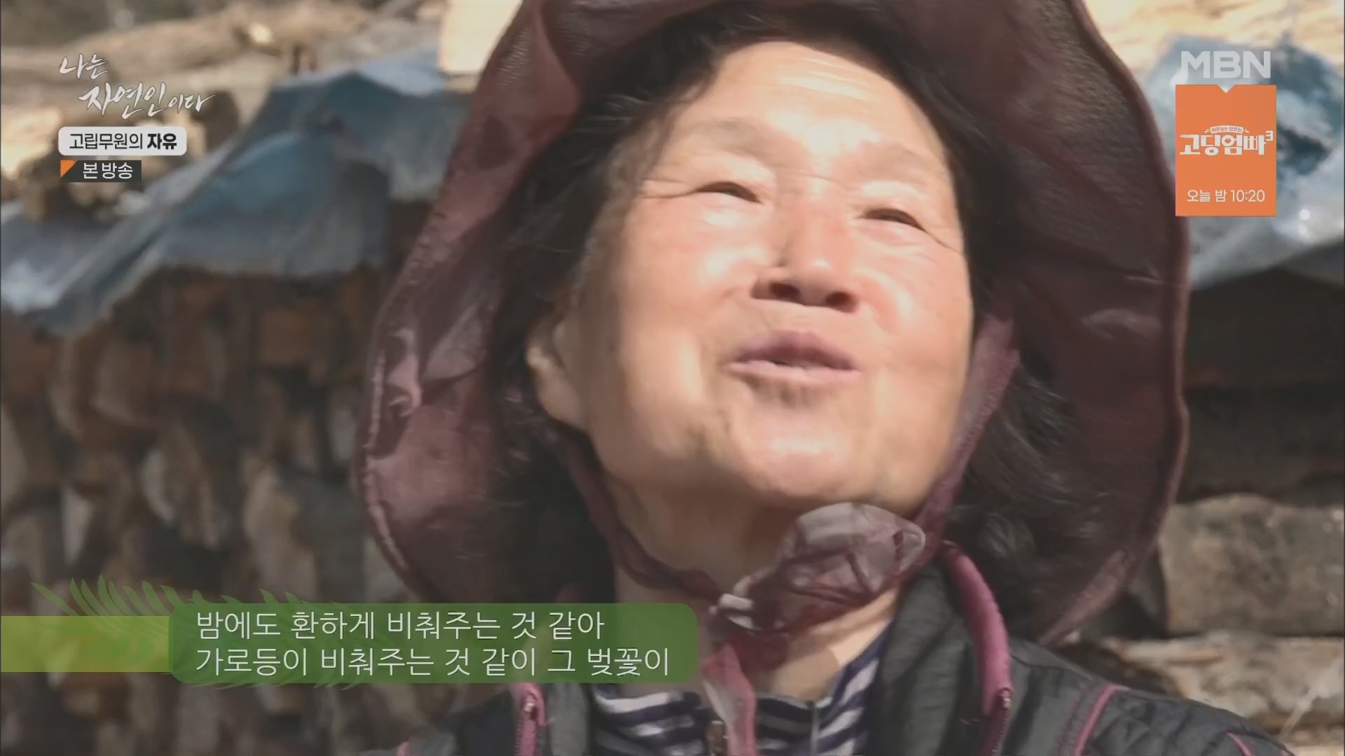 나는 자연인이다.E549.230412p.H264-F1RST.mp4_20230413_213159.191.jpg
